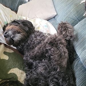 Meet your Posher, Zach